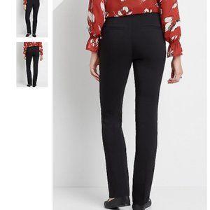 Straight Leg Dress Pants